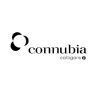 Connubia Calligaris